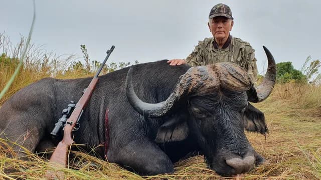 Cape Buffalo Bull Stalk & Triumphant Hunter
