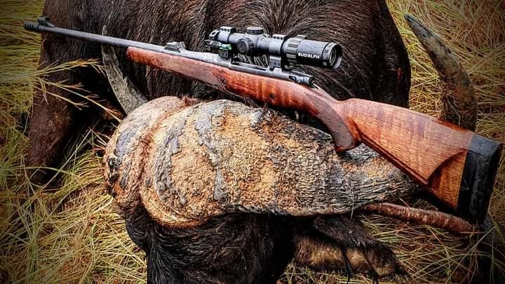 Dangerous Game Hunting