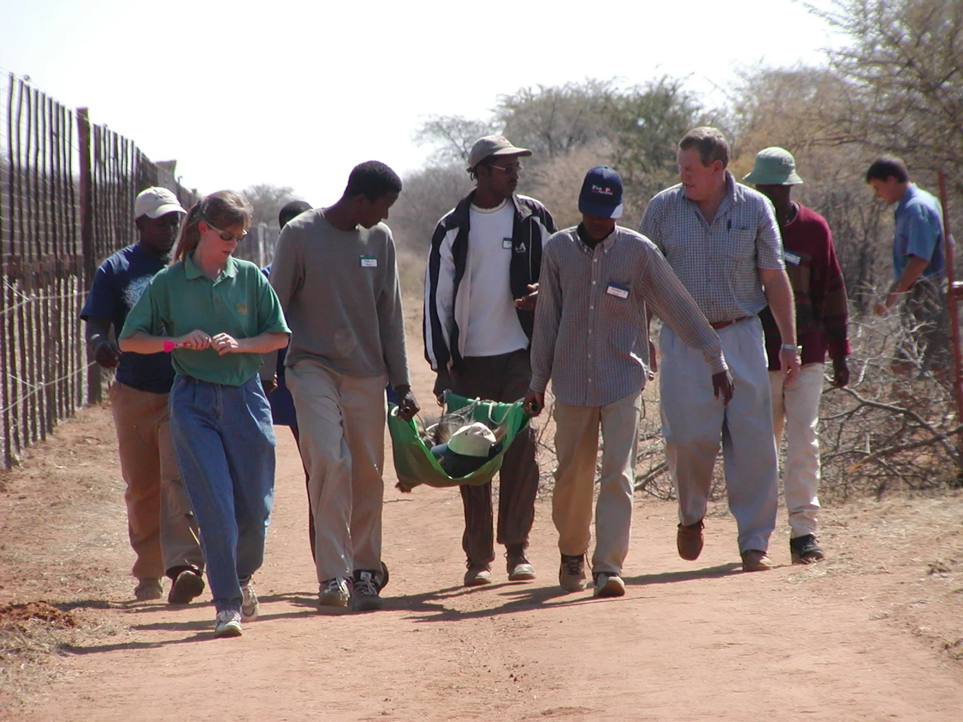 Field Transport Logistics · Canvas Stretcher Team